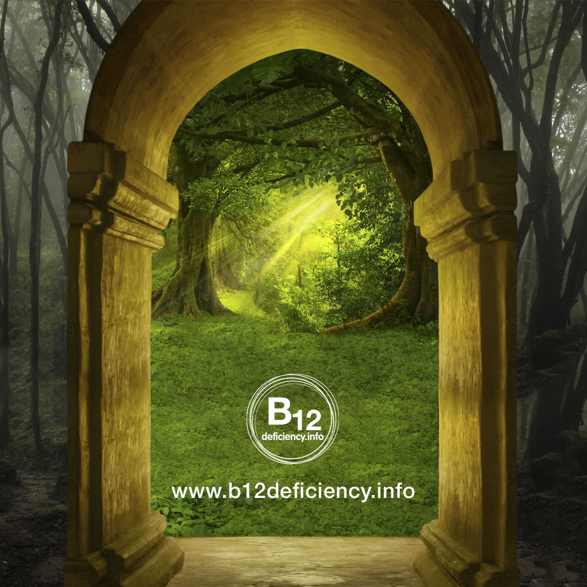 B12 deficiency, the fantasy & the reality