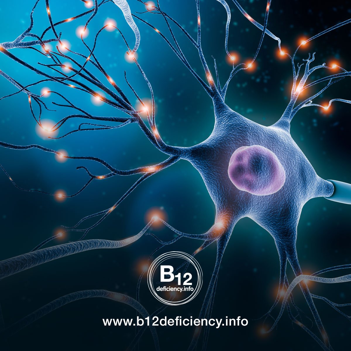 Neurological symptoms in B12 deficiency are routinely ignored.
